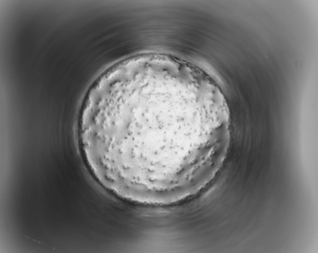 X0000089761100200707201937