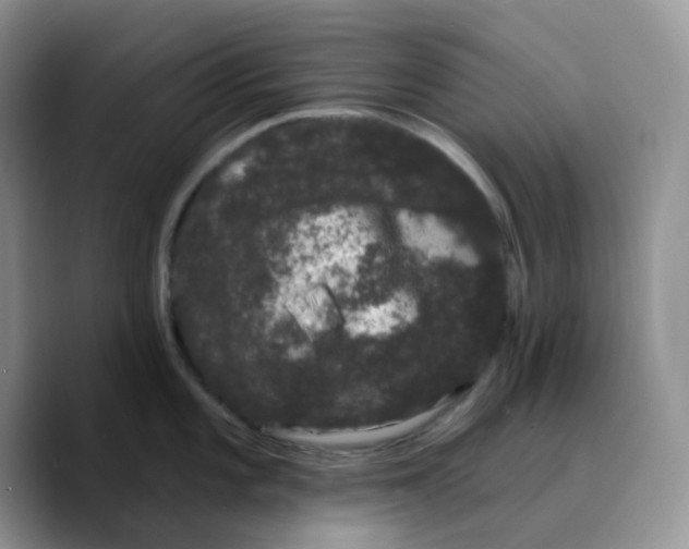 X0000089761101200707201937