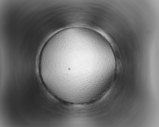 X0000089761102200707201937