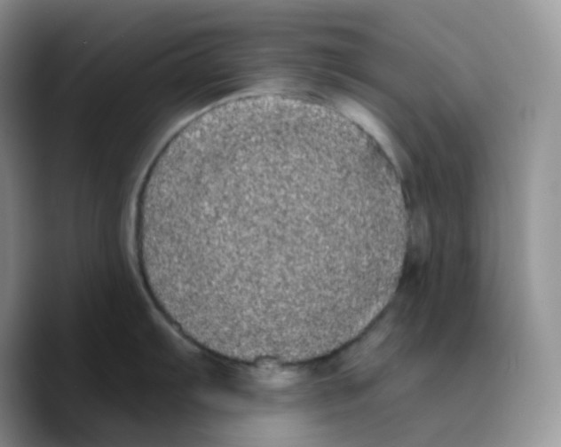 X0000089761103200707201937