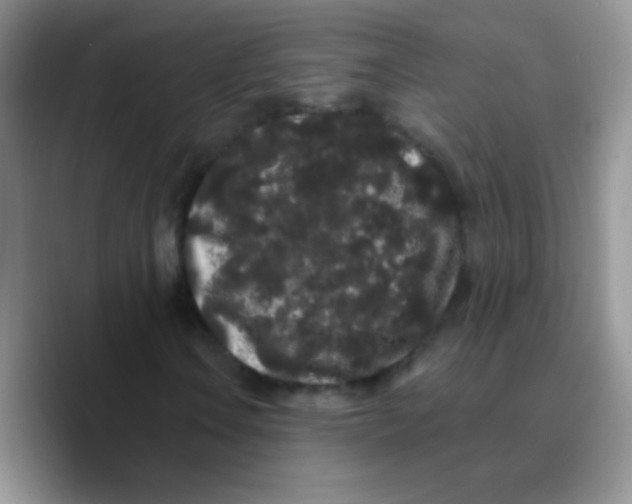X0000089761106200707201936