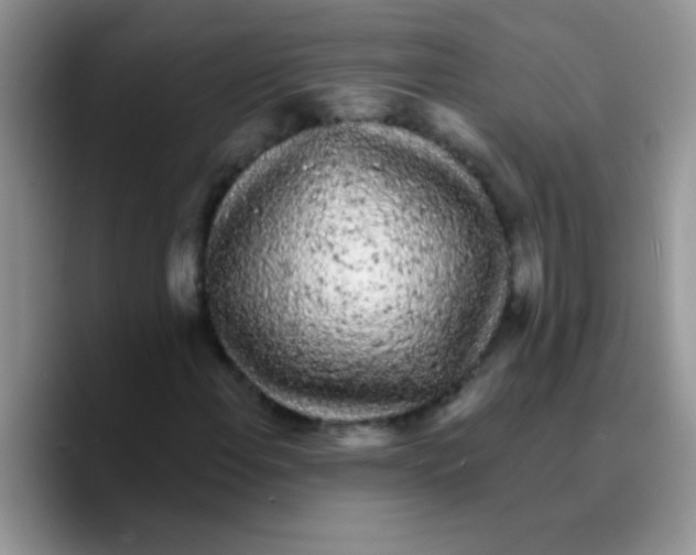 X0000089761108200707201937