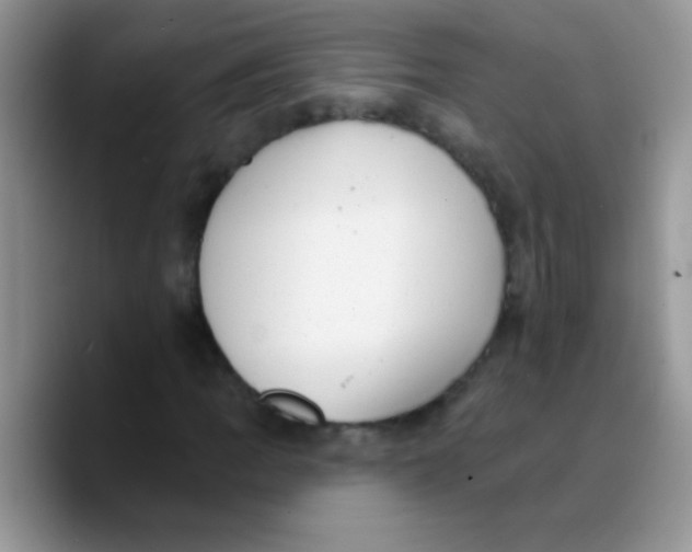 X0000089761109200707201937