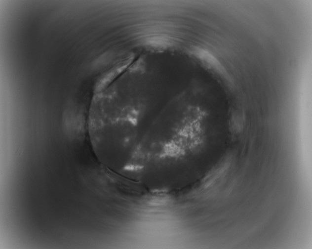 X0000089761110200707201937
