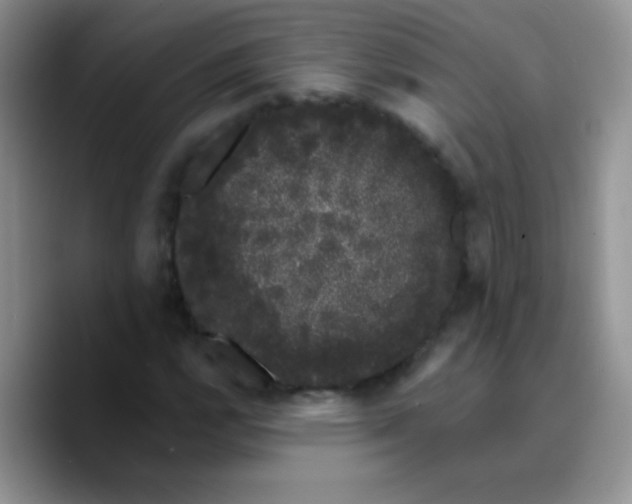 X0000089761112200707201937