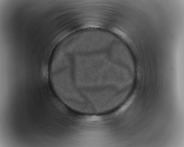 X0000089761113200707201937