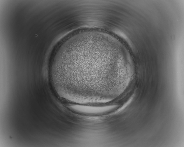 X0000089761114200707201937