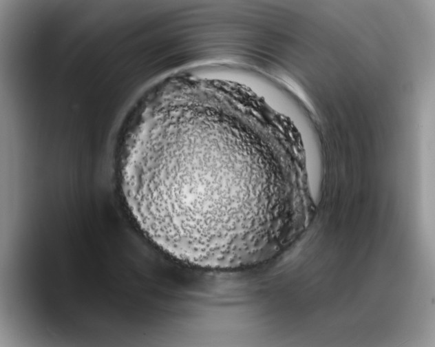 X0000089761116200707201937