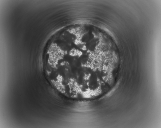 X0000089761117200707201937