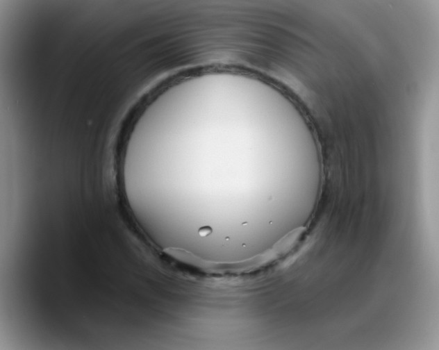 X0000089761118200707201937