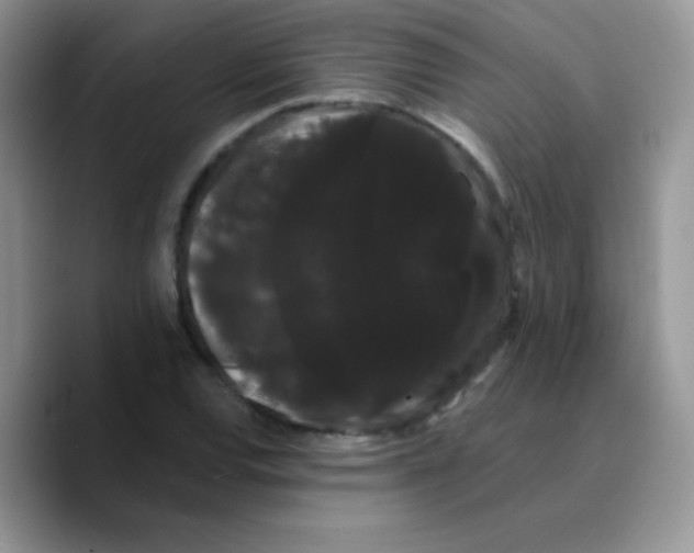 X0000089761120200707201937