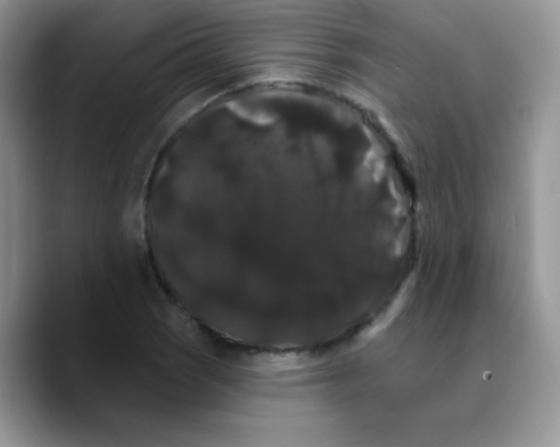X0000089761121200707201937