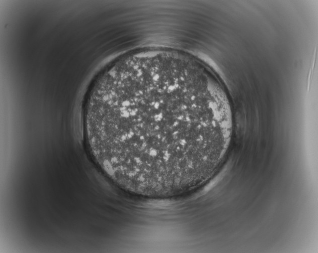 X0000089761123200707201937