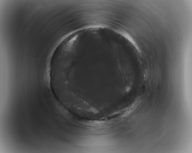 X0000089761124200707201937