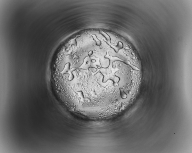 X0000089761125200707201937
