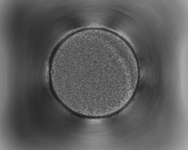 X0000089761126200707201937