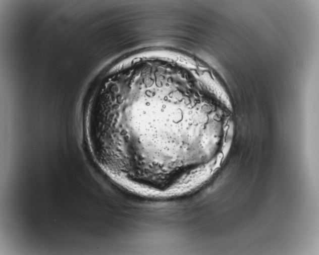 X0000089761127200707201937