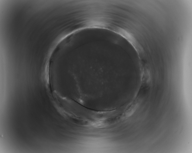 X0000089761128200707201937