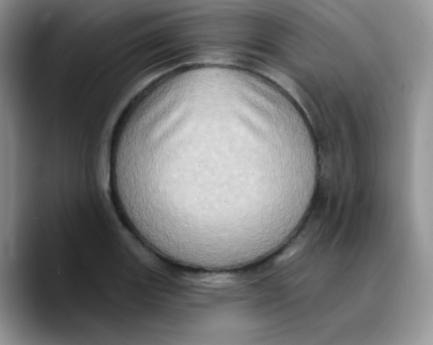 X0000089761131200707201937