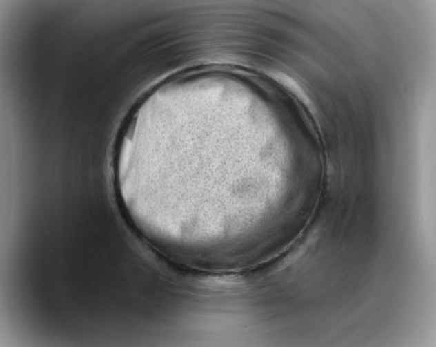X0000089761133200707201937