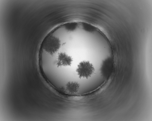 X0000089761134200707201937