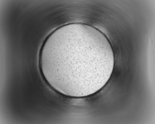 X0000089761135200707201937