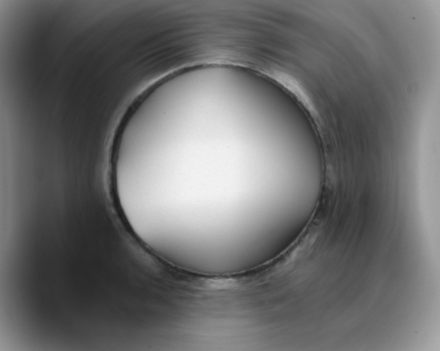 X0000089761136200707201937