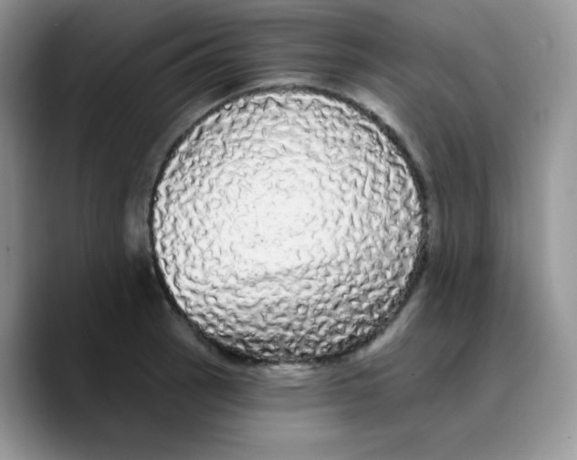 X0000089761137200707201937