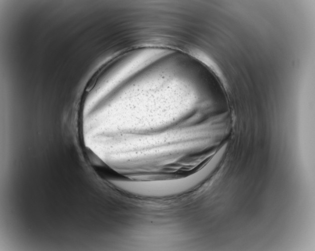X0000089761138200707201937