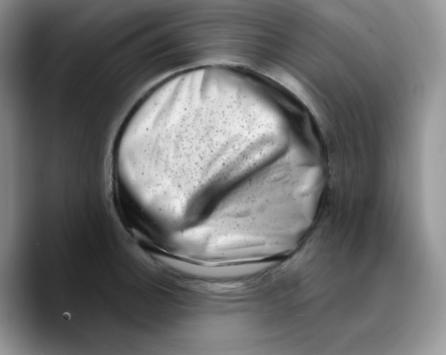 X0000089761140200707201937