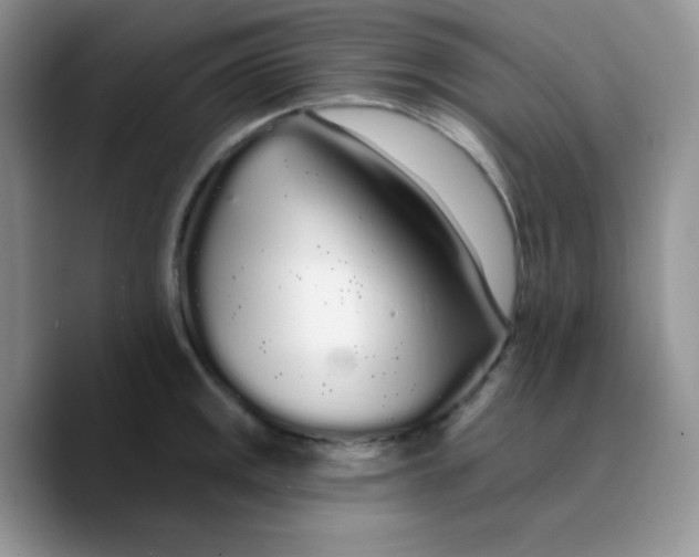 X0000089761141200707201937