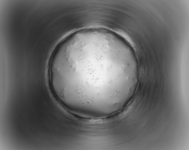 X0000089761142200707201937