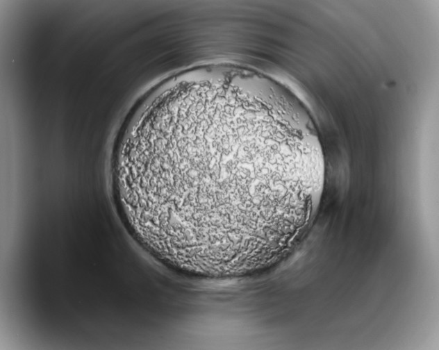 X0000089761143200707201937