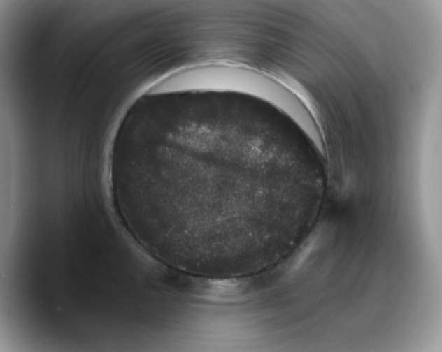 X0000089761144200707201937