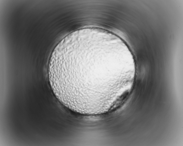X0000089761145200707201937