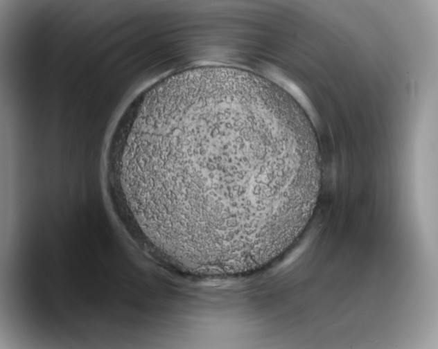 X0000089761146200707201937