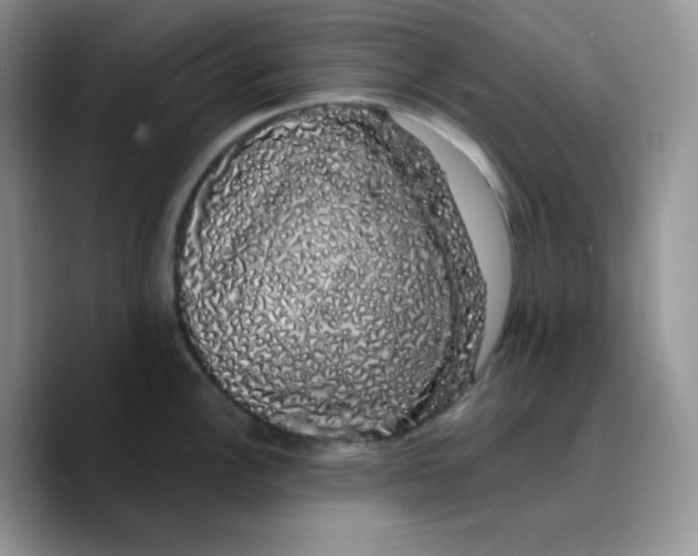X0000089761148200707201937