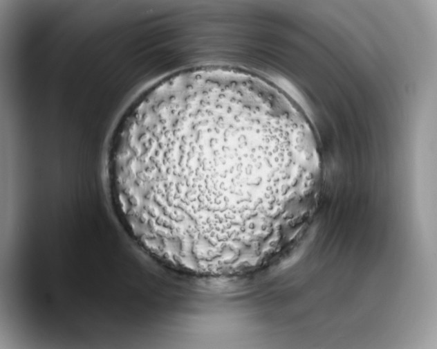 X0000089761149200707201937