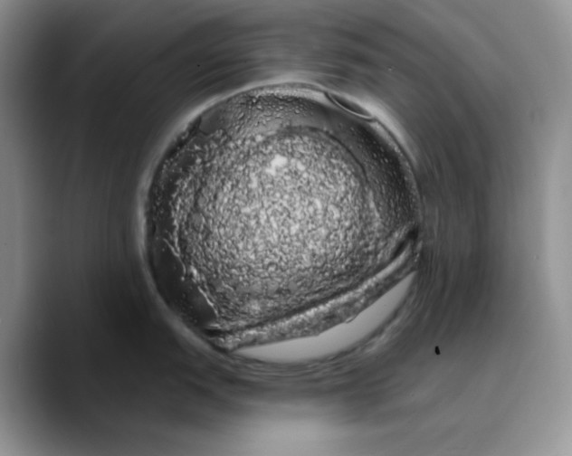 X0000089761151200707201937