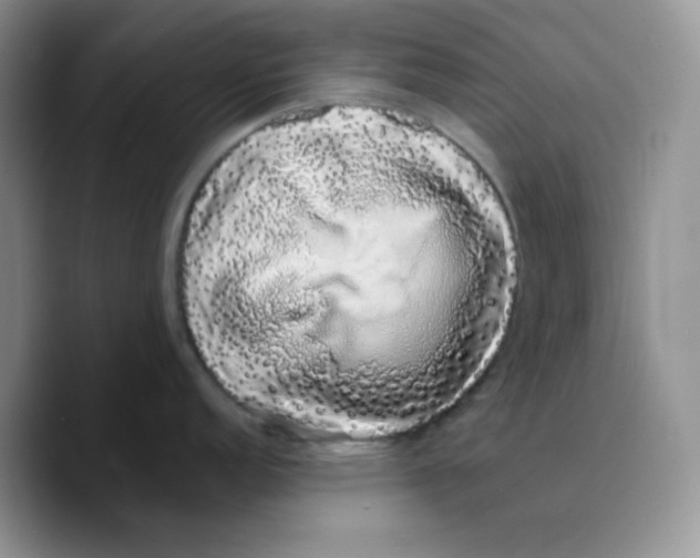 X0000089761152200707201937