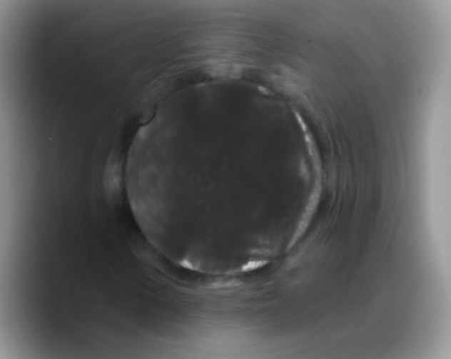 X0000089761154200707201936