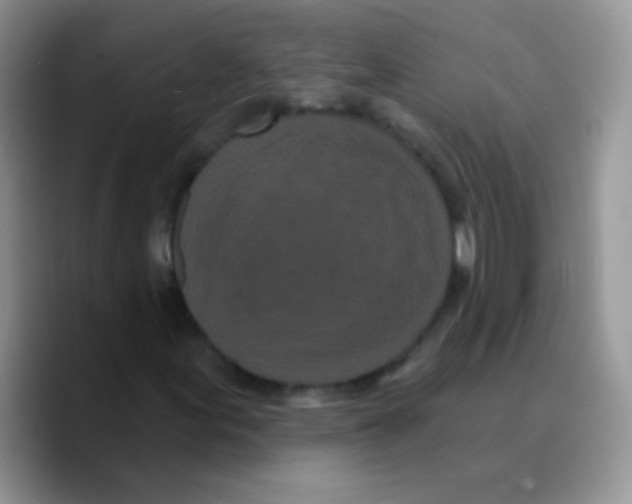 X0000089761155200707201936