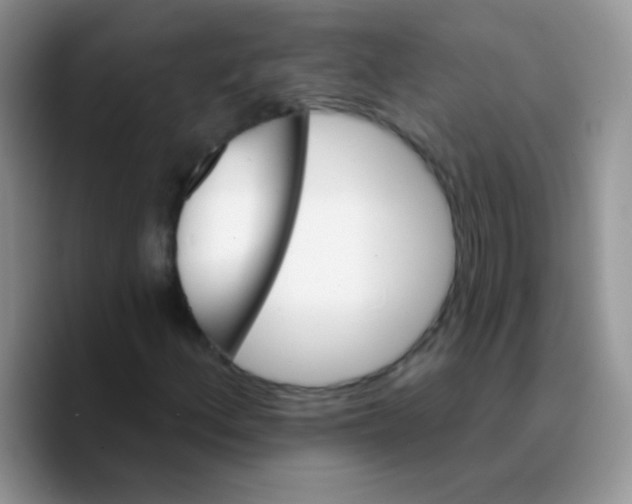 X0000089761156200707201936