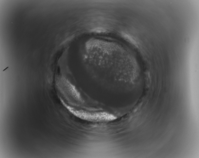 X0000089761158200707201936