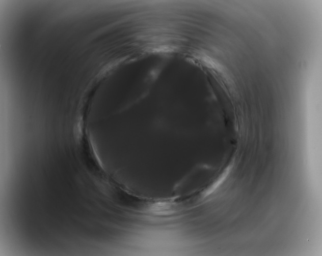 X0000089761161200707201936