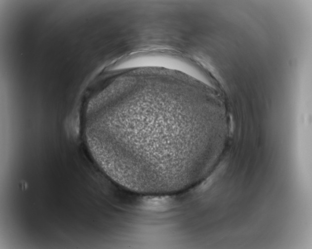 X0000089761165200707201936