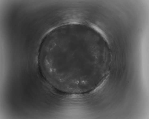 X0000089761166200707201936