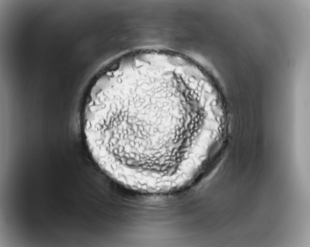 X0000089761167200707201936