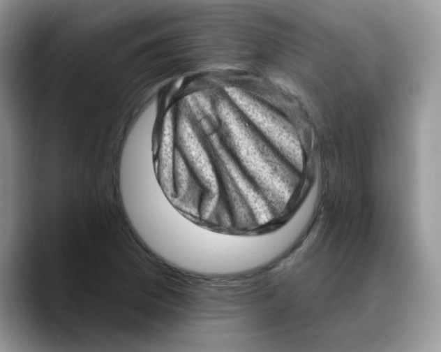 X0000089761169200707201936