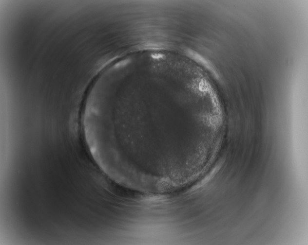 X0000089761170200707201936